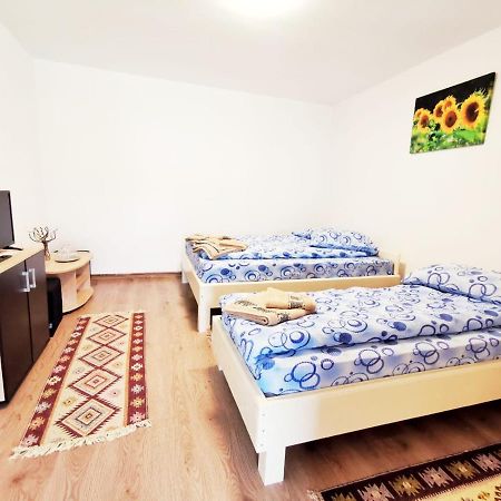 Гостевой дом Casa Borcean 2 Саска-Монтанэ Экстерьер фото