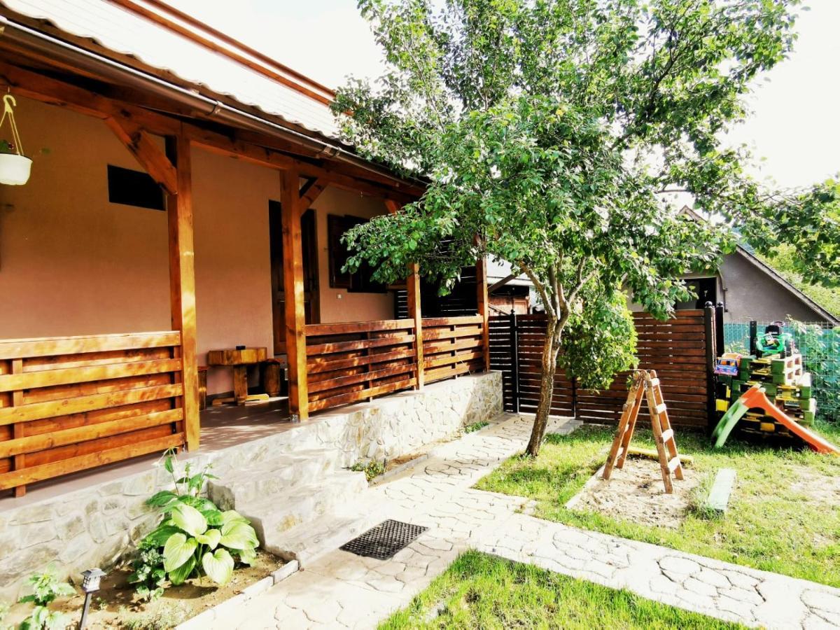 Гостевой дом Casa Borcean 2 Саска-Монтанэ Экстерьер фото