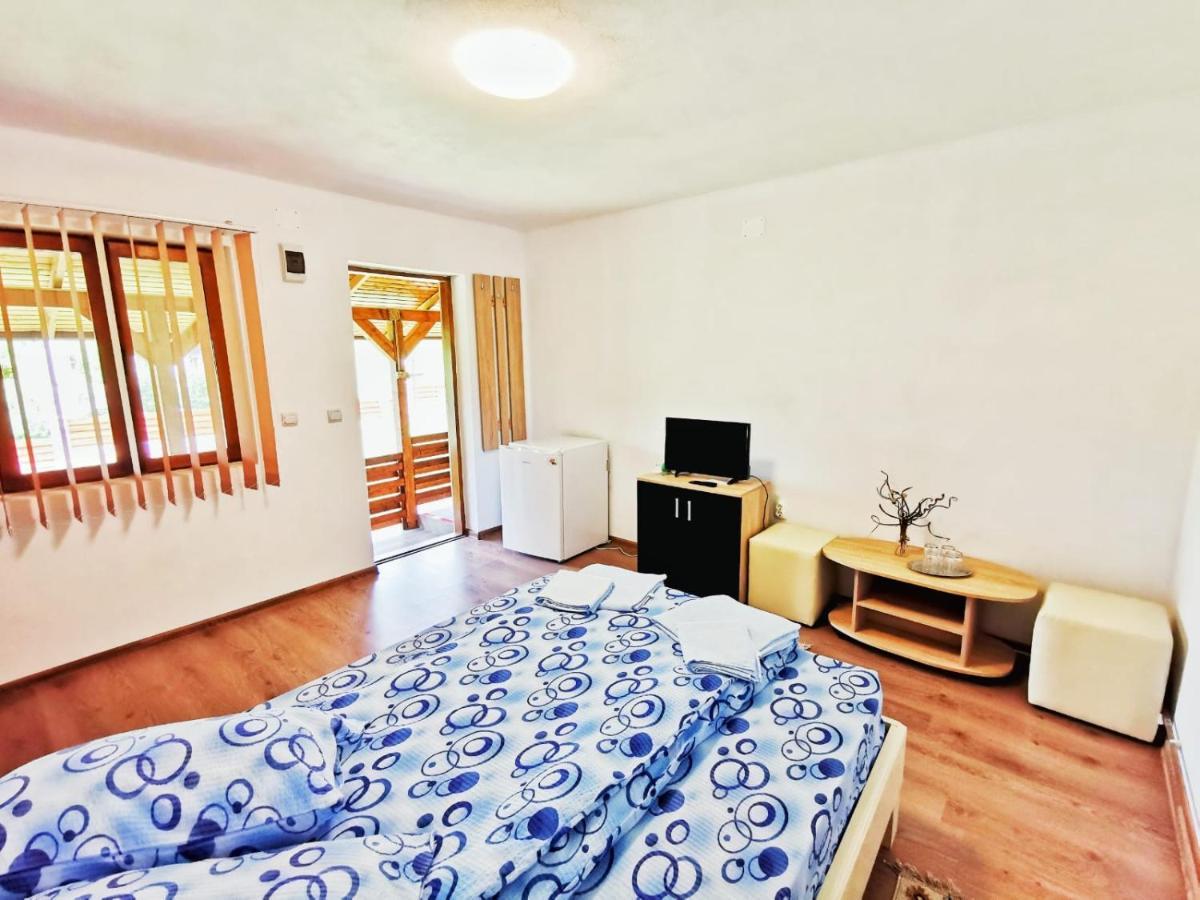 Гостевой дом Casa Borcean 2 Саска-Монтанэ Экстерьер фото