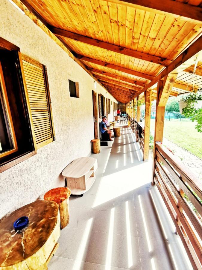 Гостевой дом Casa Borcean 2 Саска-Монтанэ Экстерьер фото