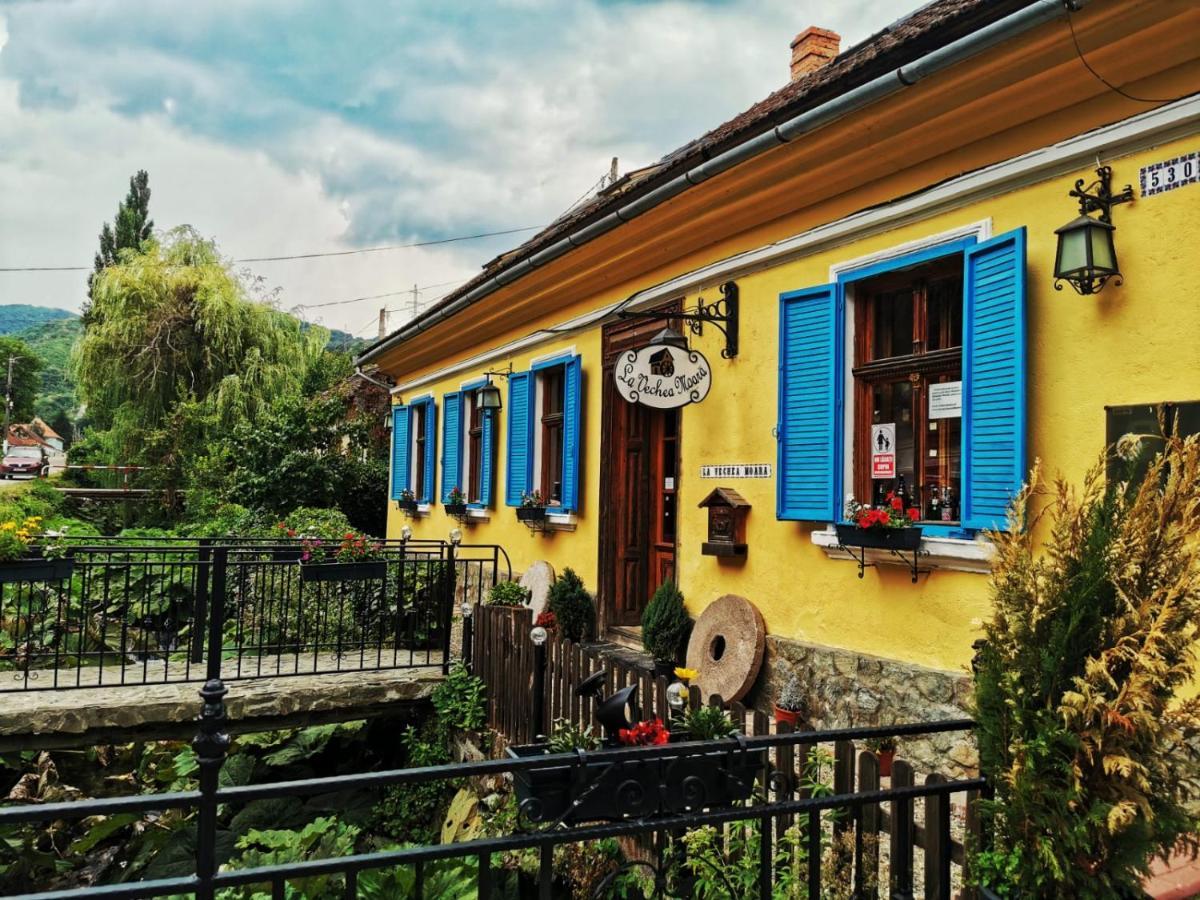 Гостевой дом Casa Borcean 2 Саска-Монтанэ Экстерьер фото